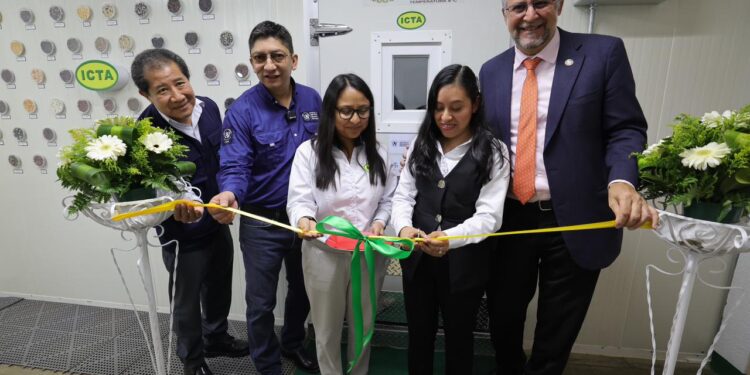 Guatemala fortalece el resguardo de sus semillas con nueva cámara fría en el ICTA
