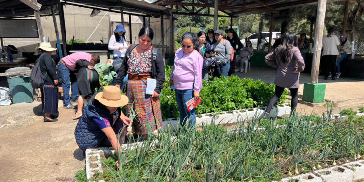 Entre huertos y corrales, técnicos rurales aprenden haciendo en Villa Nueva