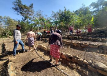 Familias de Baja Verapaz tecnifican su producción de patio