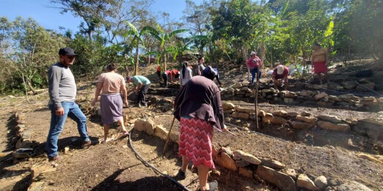 Familias de Baja Verapaz tecnifican su producción de patio