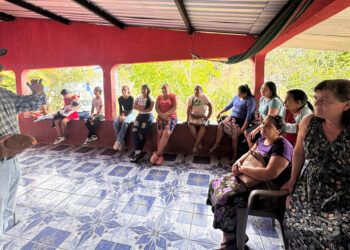 Impulsan el cultivo y transformación del camote en Morazán