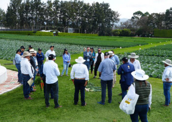 Destacan el valor de proteger variedades vegetales para impulsar la agricultura nacional
