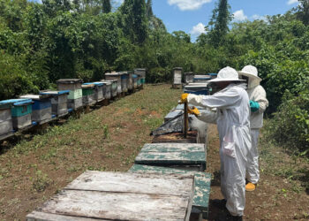 Acuerdo establece nuevo modelo de control sanitario para alimentos no procesados
