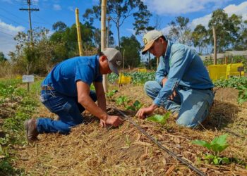 Alumnos de la ENCA impulsan la producción de hortalizas sostenibles