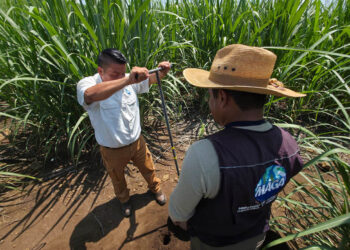 Avanza levantamiento de muestras de suelo en Escuintla
