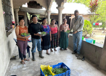Beneficiadas a 62 familias con entrega de pilones en San Luis