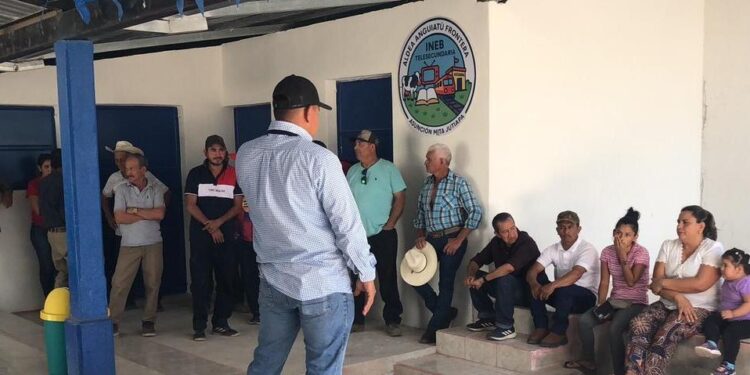 Altas temperaturas afectarían cultivos de 145 municipios