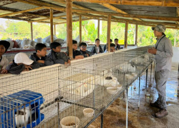 Estudiantes aprenden de agricultura y alimentación