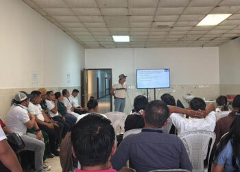 Capacitan a personal de salud de Alta Verapaz en prevención del Gusano Barrenador