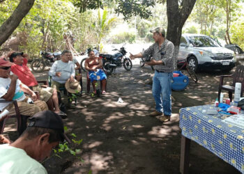 Capacitan a productores para prevenir Gusano Barrenador