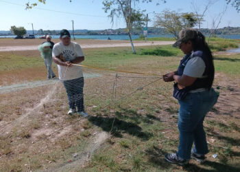 Decomisan 14 trasmallos en operativo en el Lago Petén Itzá
