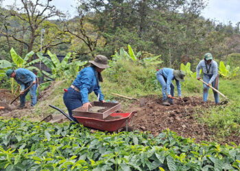 EFA Jacaltenango se posiciona como la mejor escuela de formación agrícola del país