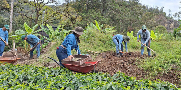 EFA Jacaltenango se posiciona como la mejor escuela de formación agrícola del país