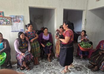 Entregan pilones de hortalizas y equipo de higiene en Concepción Chiquirichapa