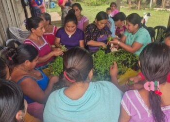 Familias de Poptún beneficiadas con pilones de hortalizas