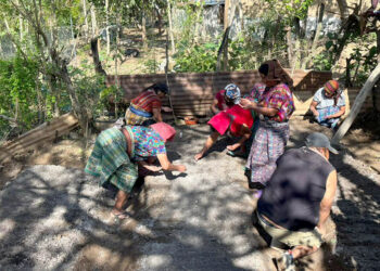 Establecen huerto comunitario en Salamá e inician producción de hortalizas