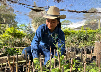 Estudiantes de la ENCA optimizan sus conocimientos técnicos en floricultura