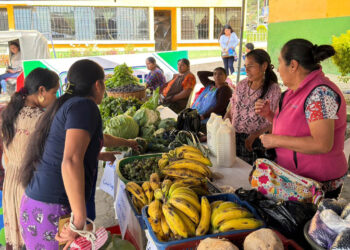 Colores y frescura: Feria del Agricultor de Alta Verapaz celebra la abundancia de la agricultura