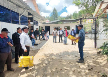 Fomentan buenas prácticas agrícolas en la cadena apícola de Tejutla, San Marcos