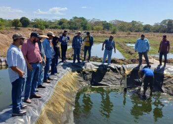 Acuicultura se perfila como alternativa productiva para familias del corredor seco
