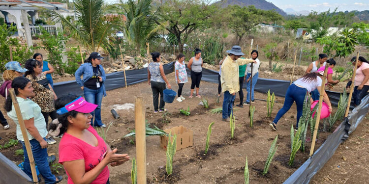 Implementan huerto medicinal con grupo CADER de Quesada