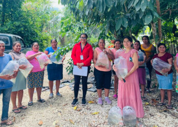 Impulsan acuicultura en Petén con entrega de más de 39 mil alevines