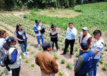 Impulsan huerto municipal para combatir la desnutrición aguda en San Marcos