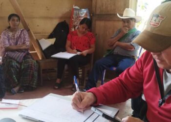 Impulsan organización de apicultores en Alta Verapaz