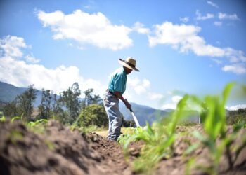 Incrementa el calor y disminuyen las lluvias
