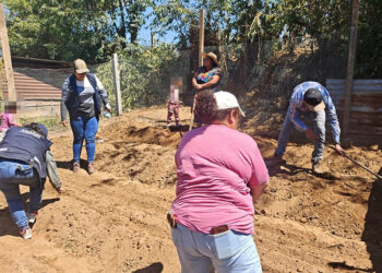 Los huertos que transforman hogares