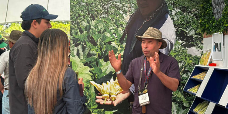 Productores concretan citas de negocio con compradores internacionales