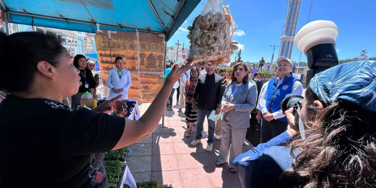 Promueven la agricultura y nutrición en jornada “Volvamos al Parque”