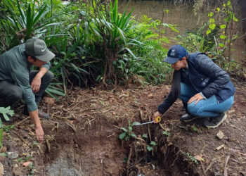 Proyectos comunitarios mejoran la alimentación y generan ingresos familiares