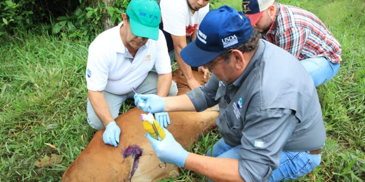 Reconociendo a quienes dedican su vida al cuidado animal