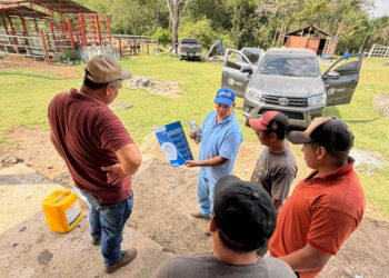Refuerzan control sanitario tras inspección de animales en Petén