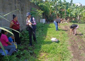 Sembrando y aprendiendo, comunidad cultiva sus alimentos