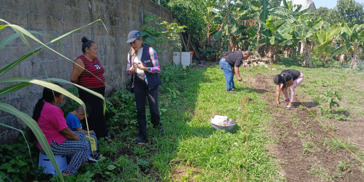 Sembrando y aprendiendo, comunidad cultiva sus alimentos