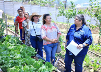 Supervisan producción de hortalizas en huerto municipal de Esquipulas