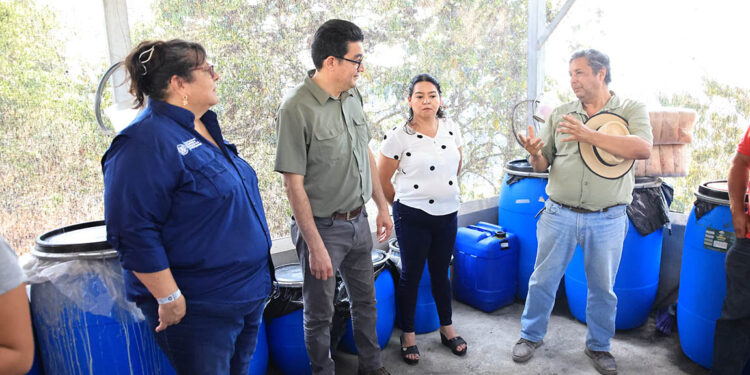 Tecnología orgánica fortalece caficultura y economía de mujeres chiquimultecas
