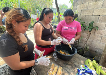 Transforman iniciativas en soluciones reales para su alimentación