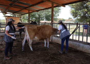 Verifican bienestar de animales en granja experimental de la USAC