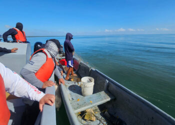 Verifican cumplimiento de veda de langosta en el Caribe guatemalteco