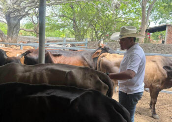 Atienden 267 reses en jornada sanitaria