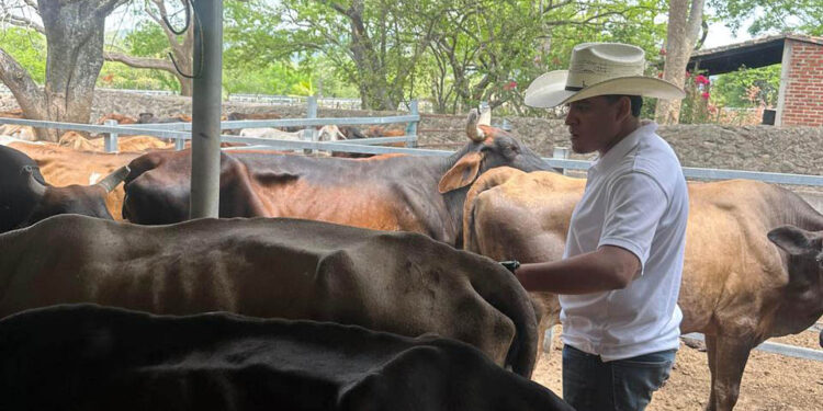 Atienden 267 reses en jornada sanitaria