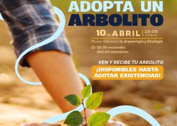 Adopta un arbolito