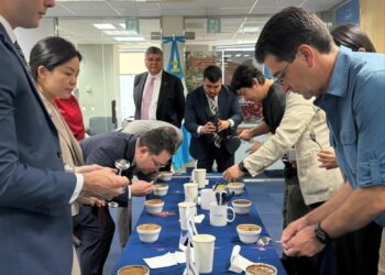 Embajada de Guatemala en Corea del Sur promueve el café de especialidad con sesión técnica y de cata