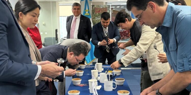 Embajada de Guatemala en Corea del Sur promueve el café de especialidad con sesión técnica y de cata