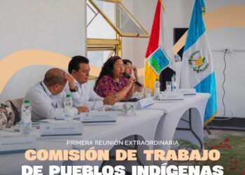 Primera Reunión Extraordinaria de la Comisión de Trabajo de Pueblos Indígenas del CONADUR