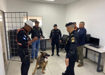 Viceministro Antinárcotico supervisa labor policial en Izabal