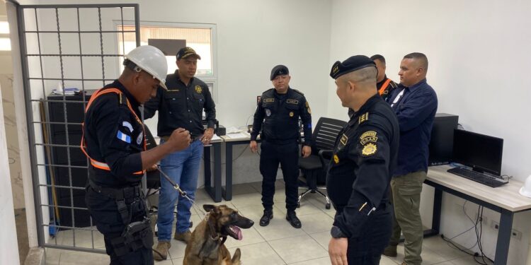Viceministro Antinárcotico supervisa labor policial en Izabal